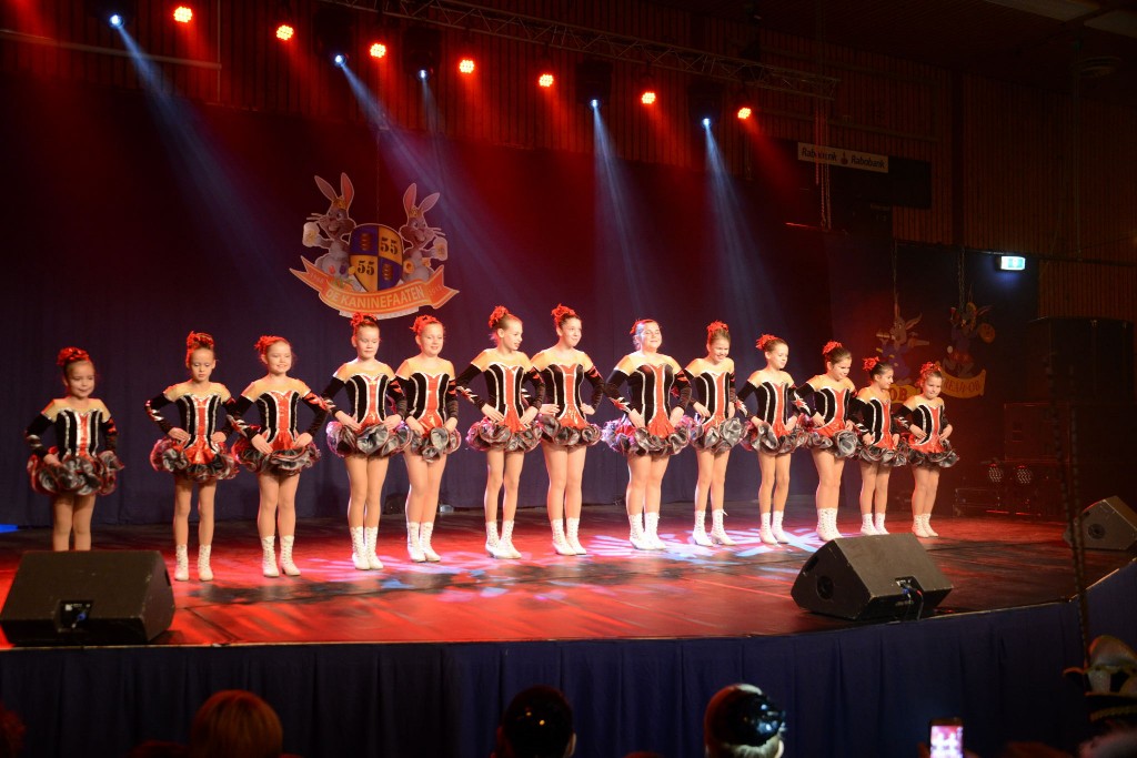 ../Images/Dansmarieke festival 2015 126.jpg